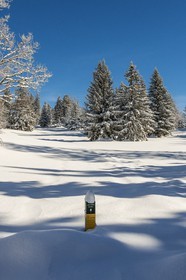 ENS de l'Isère, Plateau de la Molière et du Sornin