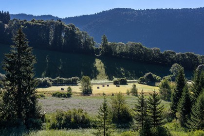 ENS de l'Isère, Marais des Sagnes