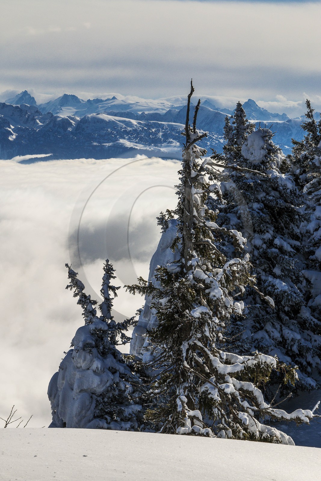 ENS de l'Isère, Plateau de la Molière et du Sornin