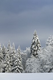 ENS de l'Isère, Les Ecouges