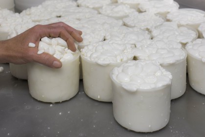 Ferme de Coste Joffre, Marie-Ange Eyraud et Axel Quéméré