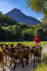 Gaec La Ferme des Ecrins