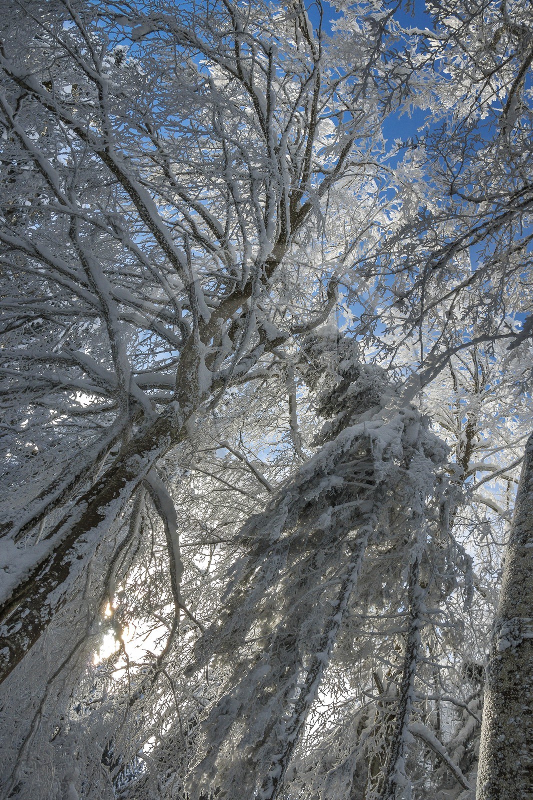 ENS de l'Isère, Les Ecouges