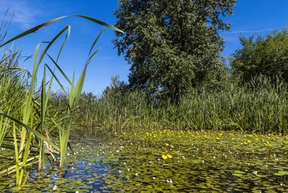 ENS de l'Isère, , le méandre des Oves