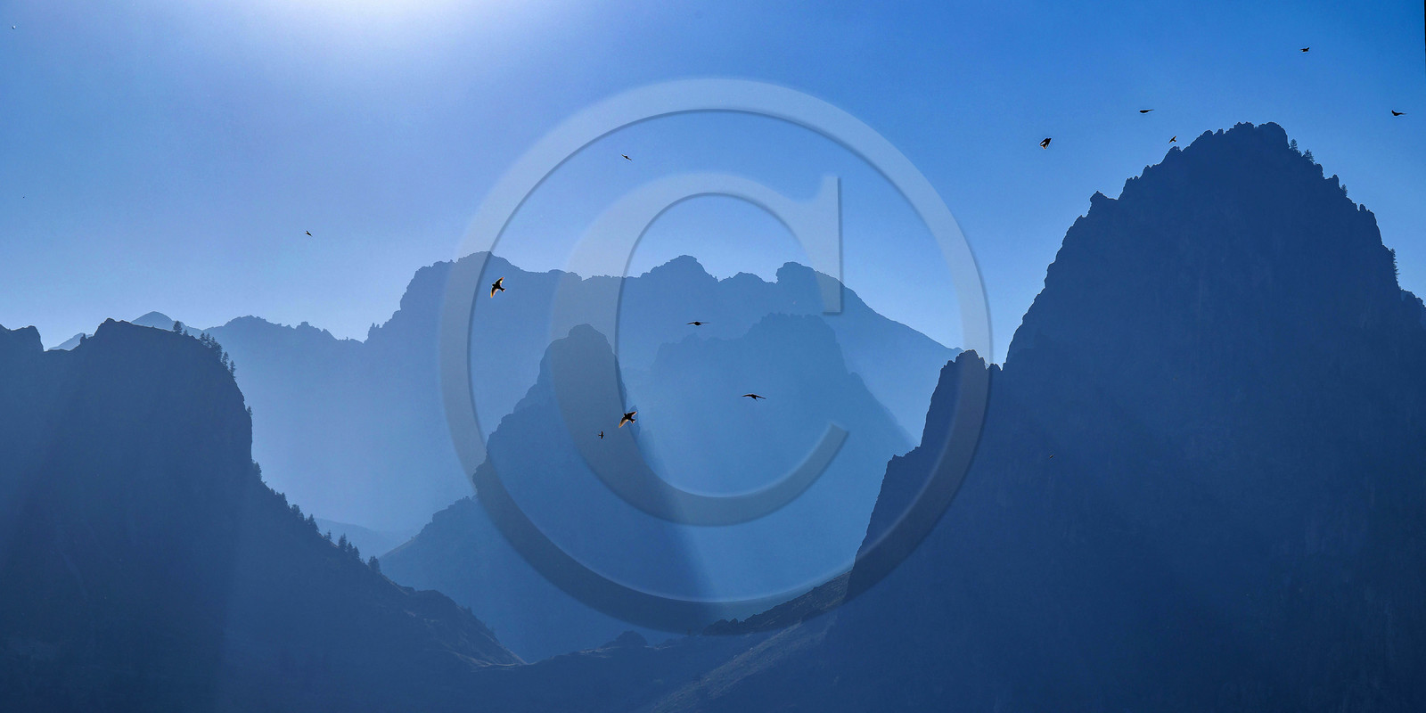 Vol d'hirondelles devant la Tête de Sautron et Rocca Rossa