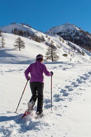 Col de Larche, vallon du lauzanier, randonnée raquettes