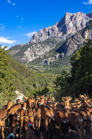 Gaec La Ferme des Ecrins