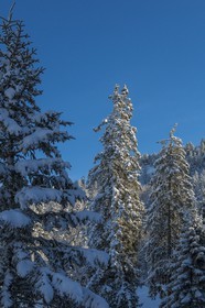 ENS de l'Isère, Plateau de la Molière et du Sornin