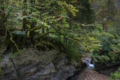 ENS de l'Isère, Les Ecouges, rivière La Drevenne