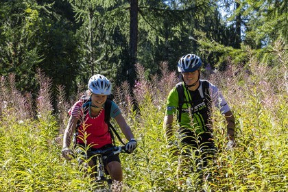 VTT Grand tour des Ecrins