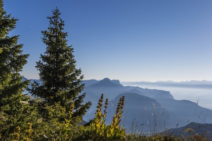 ENS de l'Isère, Plateau de la Molière et du Sornin, vue sur la Chartreuse