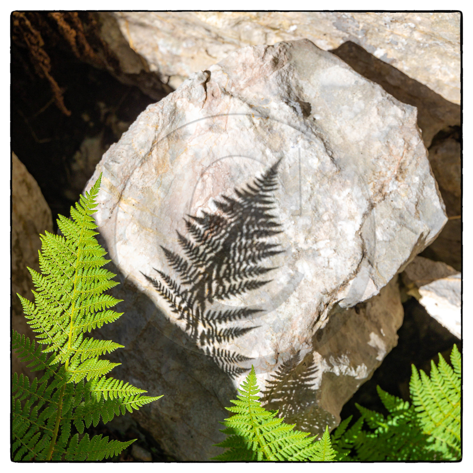 Les Oucanes de Chabrières