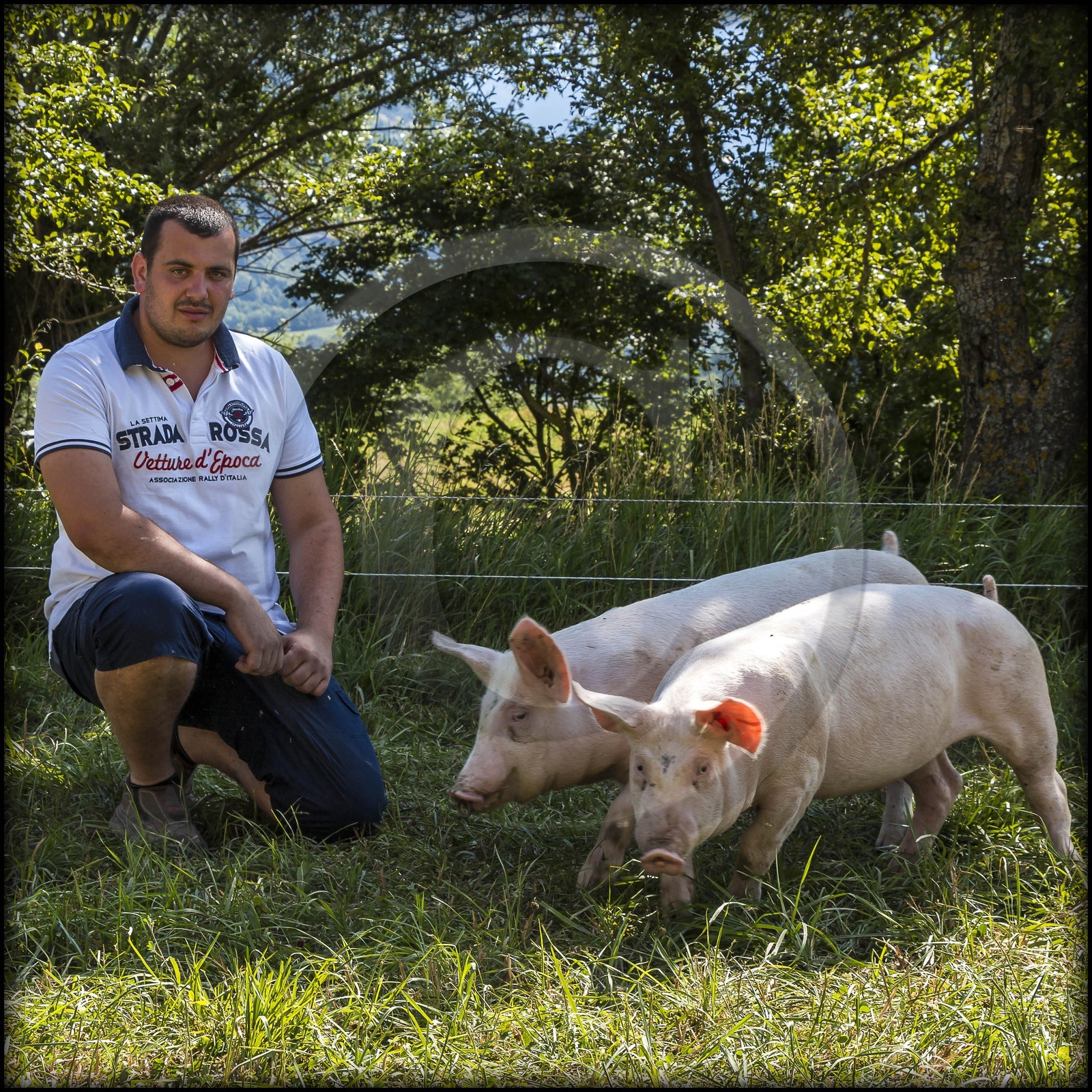 Vallée du Champsaur, Ferme des Coupaïrou, Guillaume Barban