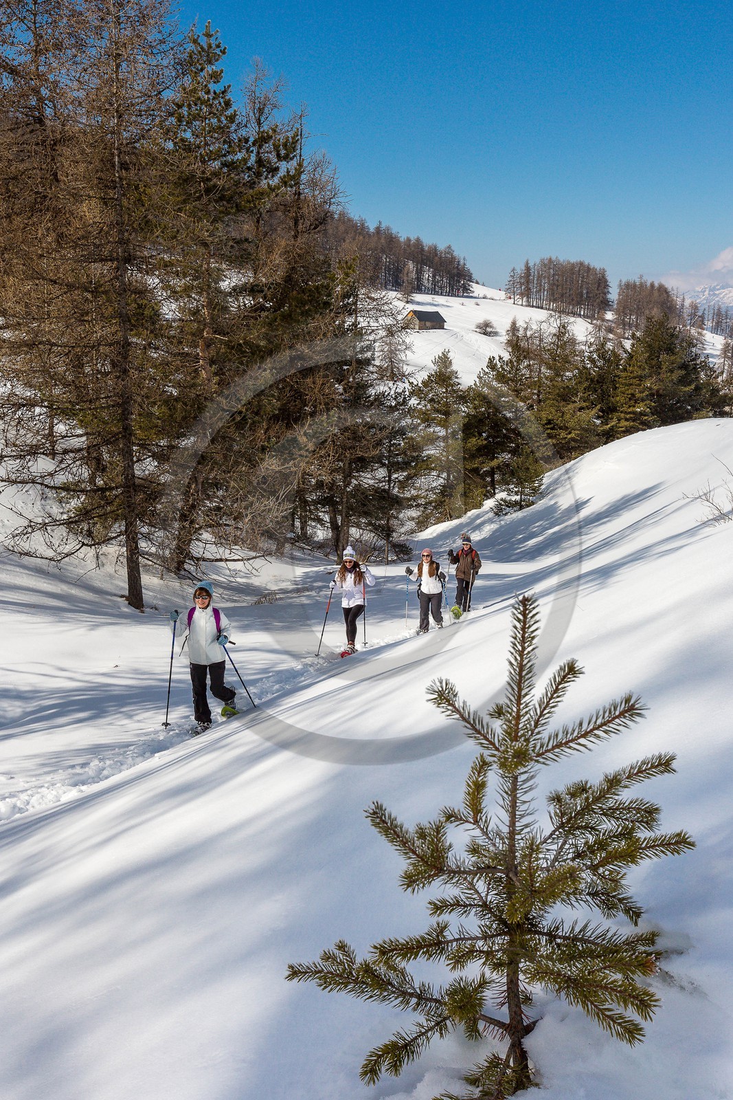 Ancelle, col de Moissière, randonnée à raquettes à neige