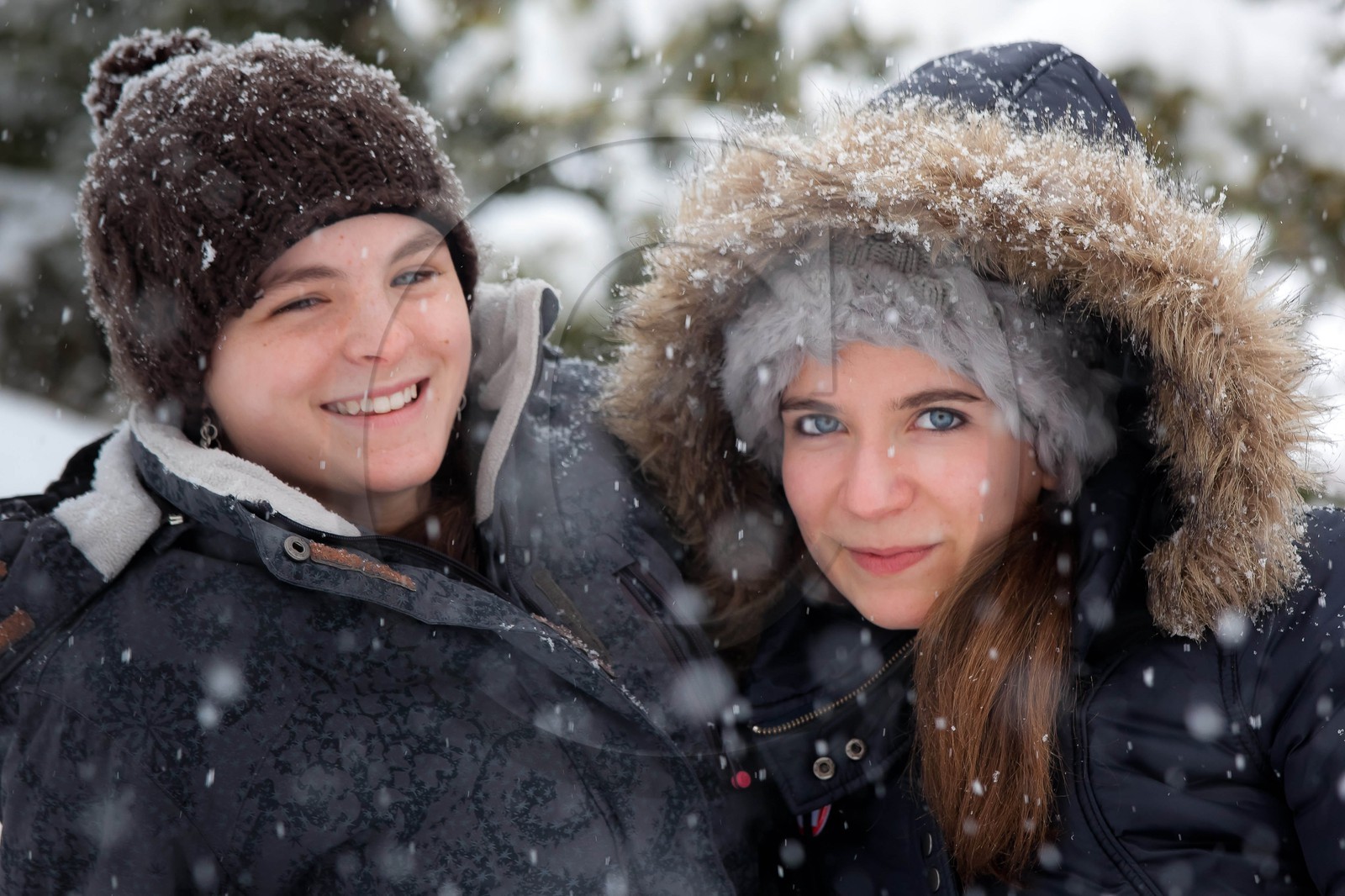 Hiver, randonnée balade sous la neige