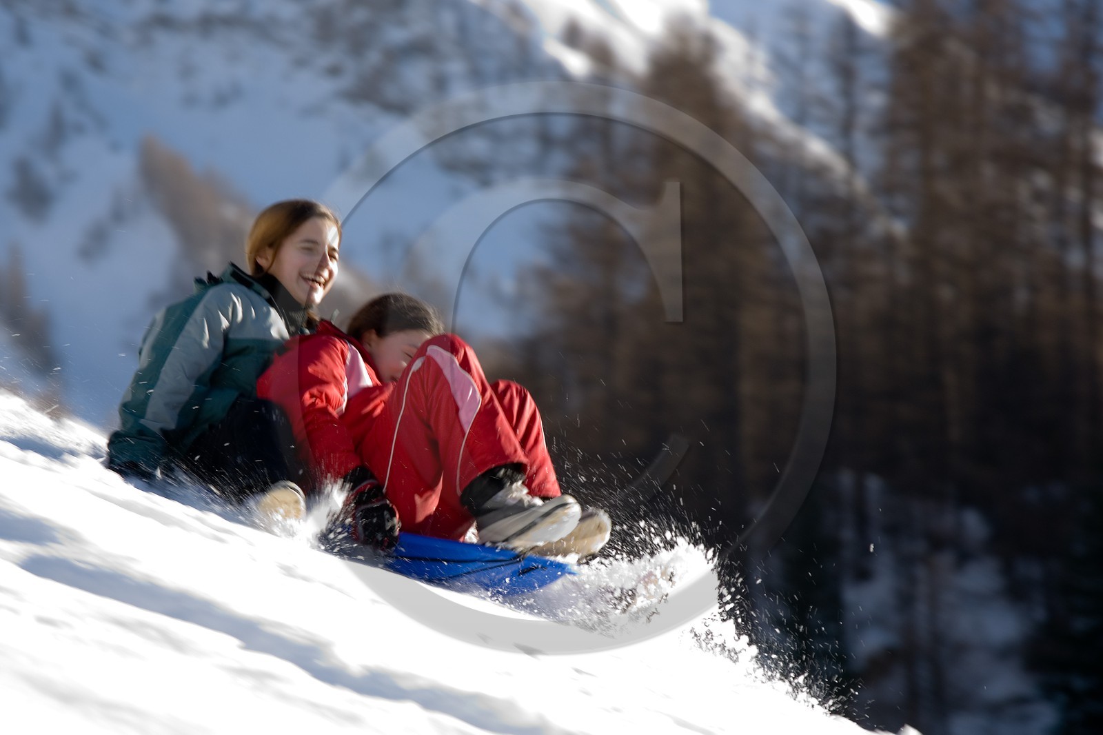 Luge d'hiver