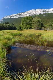 ENS de l'Isère,Tourbières du Peuil