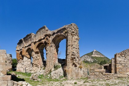 Saint-André de Rosans, Prieuré fondé par l'ordre de Cluny au Xème siècle