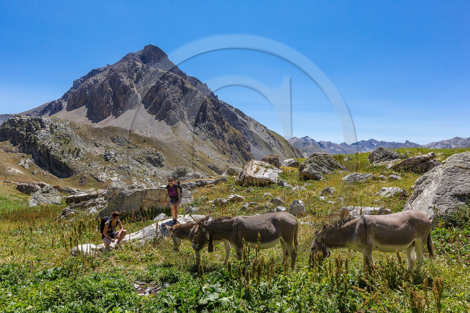 randonnée pédestre vallon de l'Orenaye (2482m), GR Tour du Chambeyron