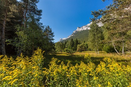 ENS de l'Isère,Tourbières du Peuil