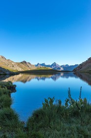 col de Larche, Lac du Lauzanier