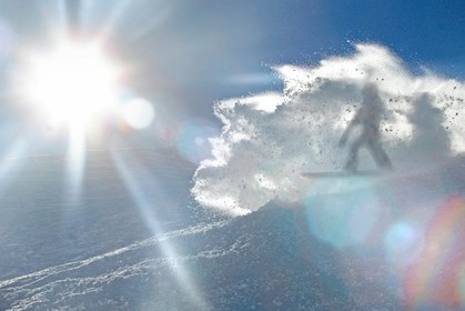 Surf des neige, Snowboard