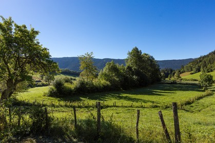 ENS de l'Isère, Marais des Sagnes