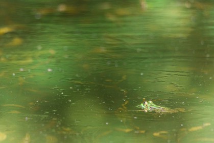 ENS de l'Isère, espace alluvial de la Rolande