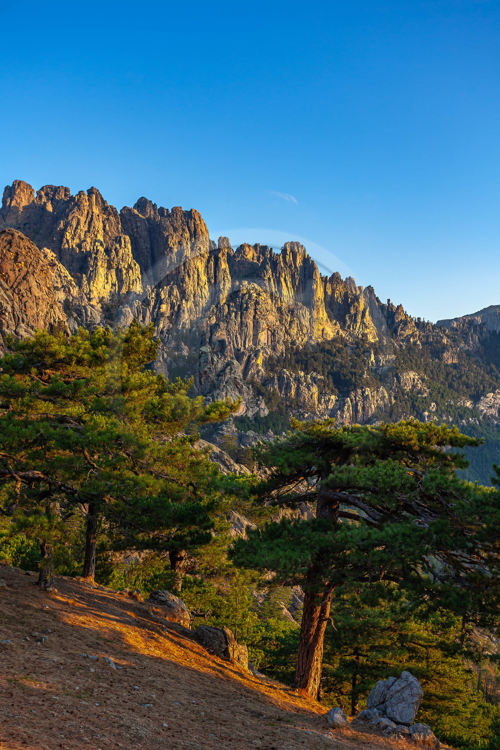 Les Aiguilles de Bavella (forchi di Bavedda )