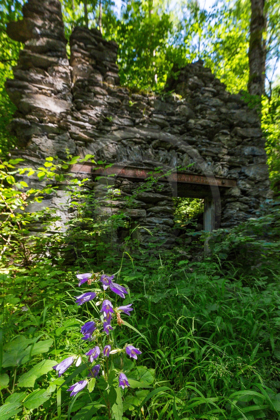 ENS de l'Isère, Vieille morte de Bourg d'Oisans