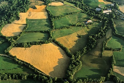 Vallée du Champsaur, le bocage