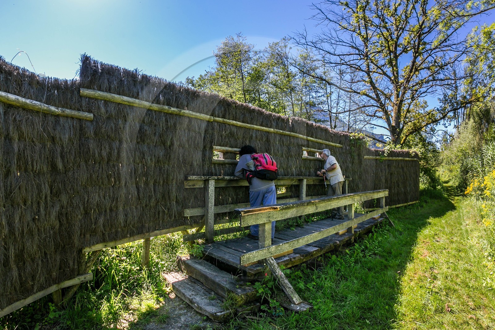 ENS de l'Isère, Tourbières de l'Herretang