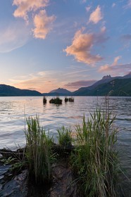 Réserve naturelle du Bout du Lac d'Annecy