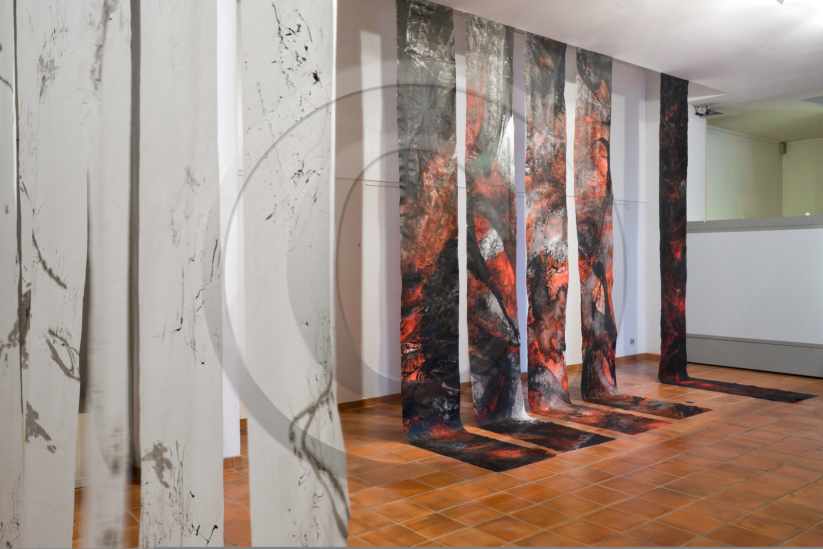 Gap, Musée Muséum départemental des Hautes-Alpes