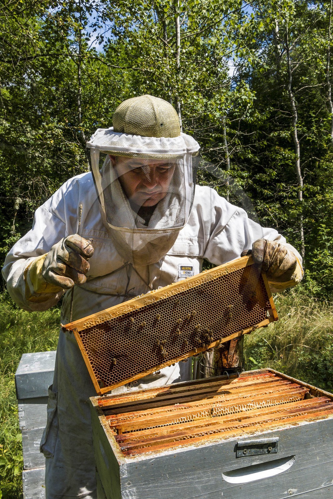 Vallée du Champsaur, Gérald Tiron, apiculteur