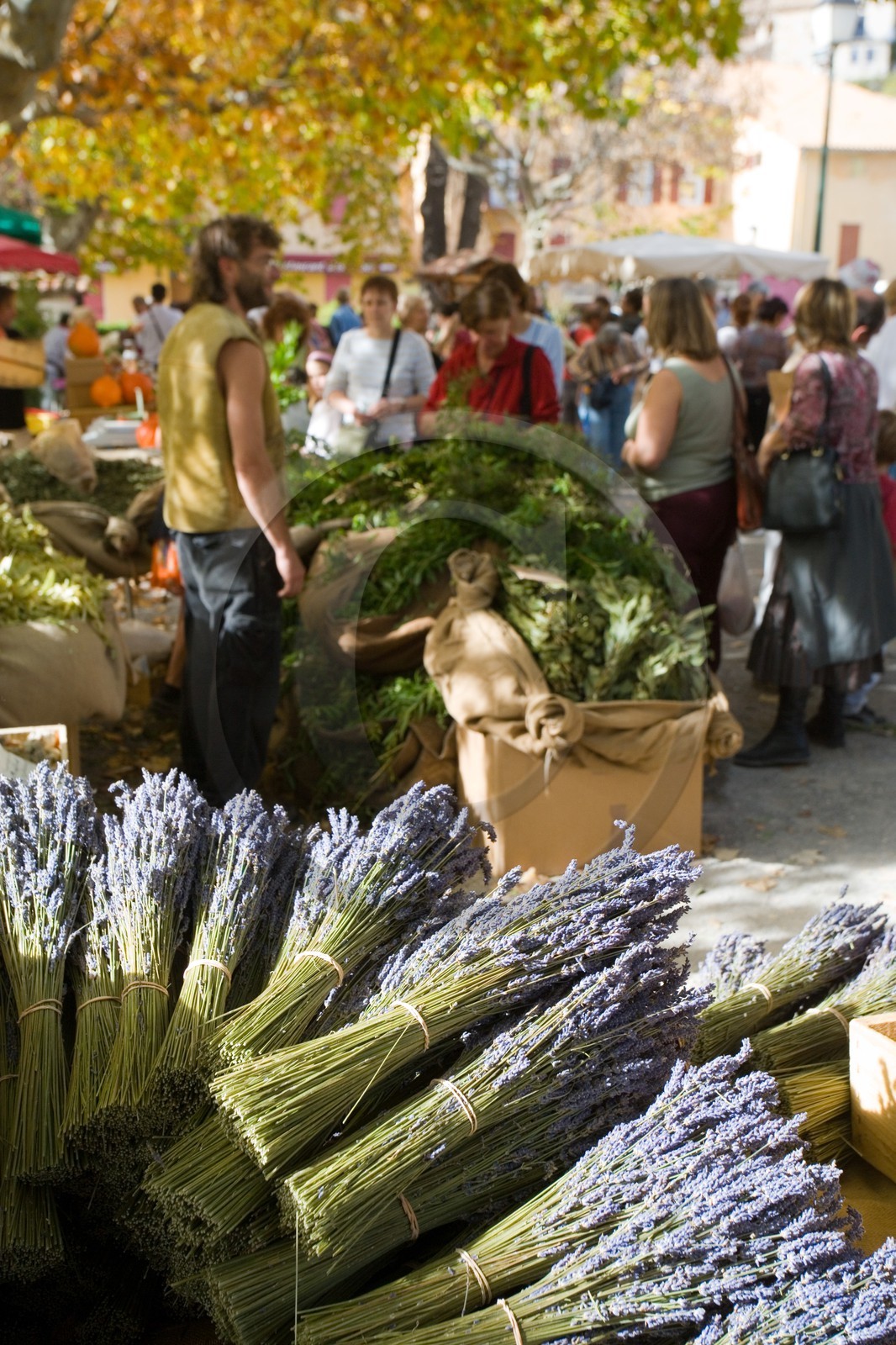 Village d'Orpierre, Marché des saveurs