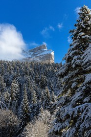 Espace naturel sensible de l'Isère, Col du Coq