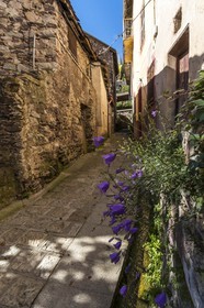 Roure,