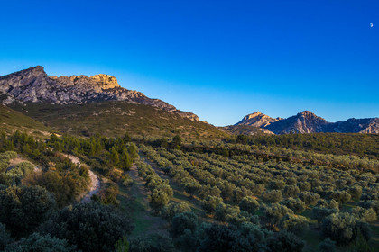 Les Baux de Provence, Domaine La Fabresse