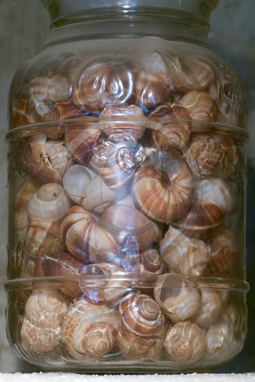 Saint-André de Rosans, Chambres et tables d'hôtes La Condamine