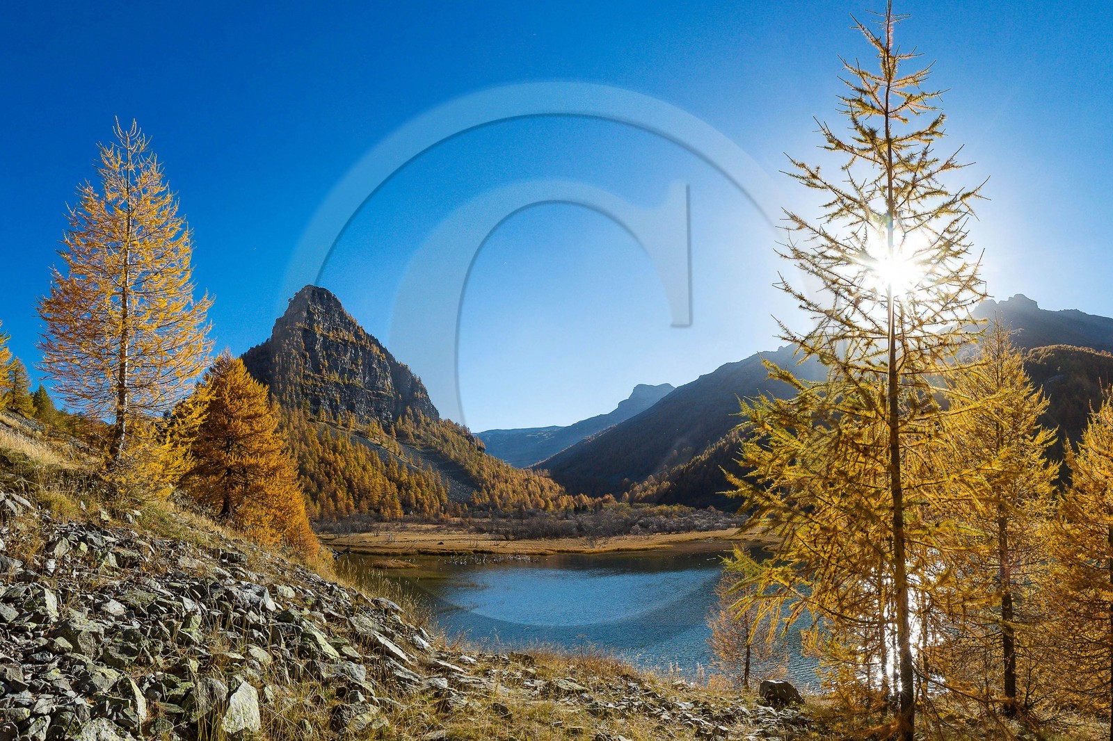 Jausiers, Lac des Sagnes et forêt de mélèzes à l'automne