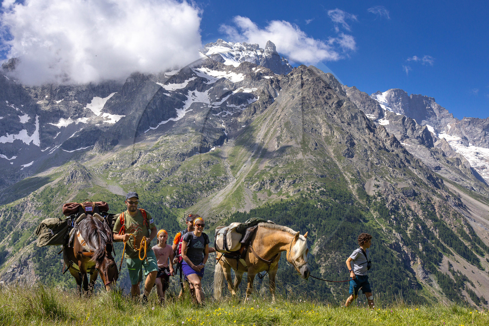 Trek famille avec animaux de bats
