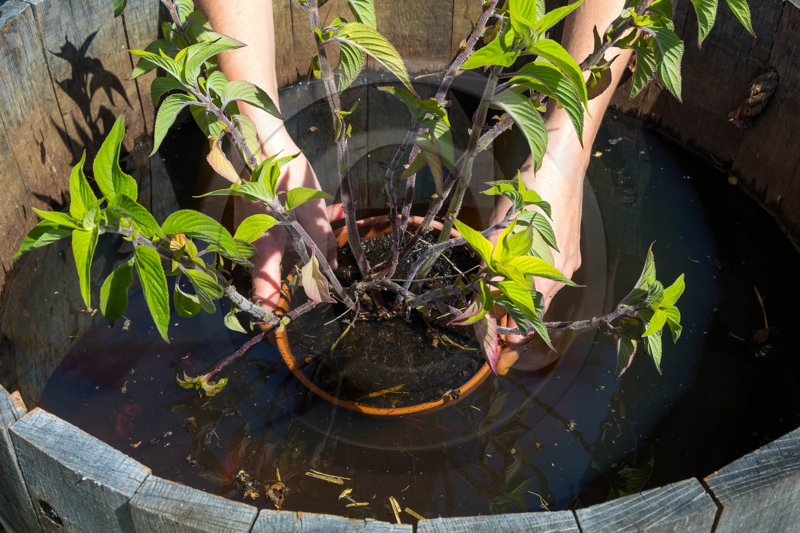 Parc écologique Terre Vivante