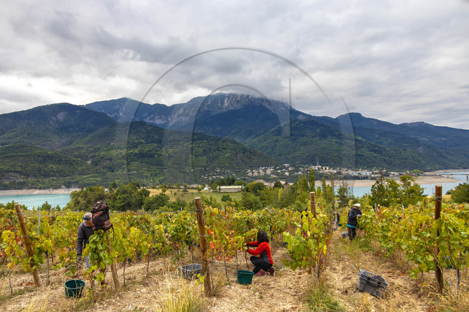 Domaine du Mont Guillaume