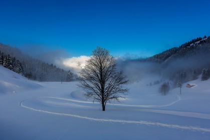 Espace naturel sensible de l'Isère, Col du Coq