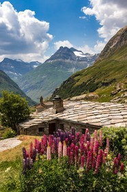 Hameau L'Ecot
