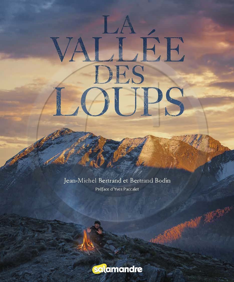 Couverture Recto Livre : La vallée des loups