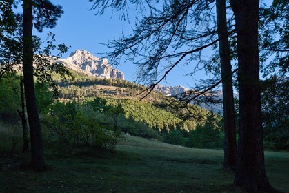 Forêt domaniale des Sauvas