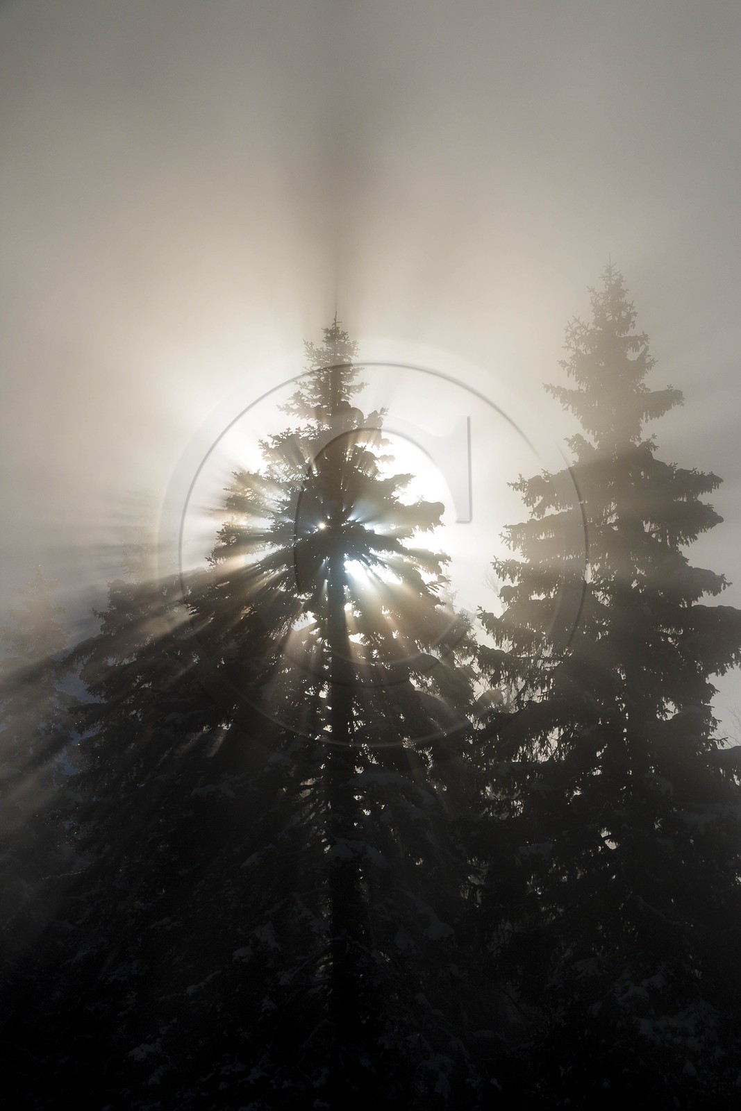 ENS de l'Isère, Plateau de la Molière et du Sornin