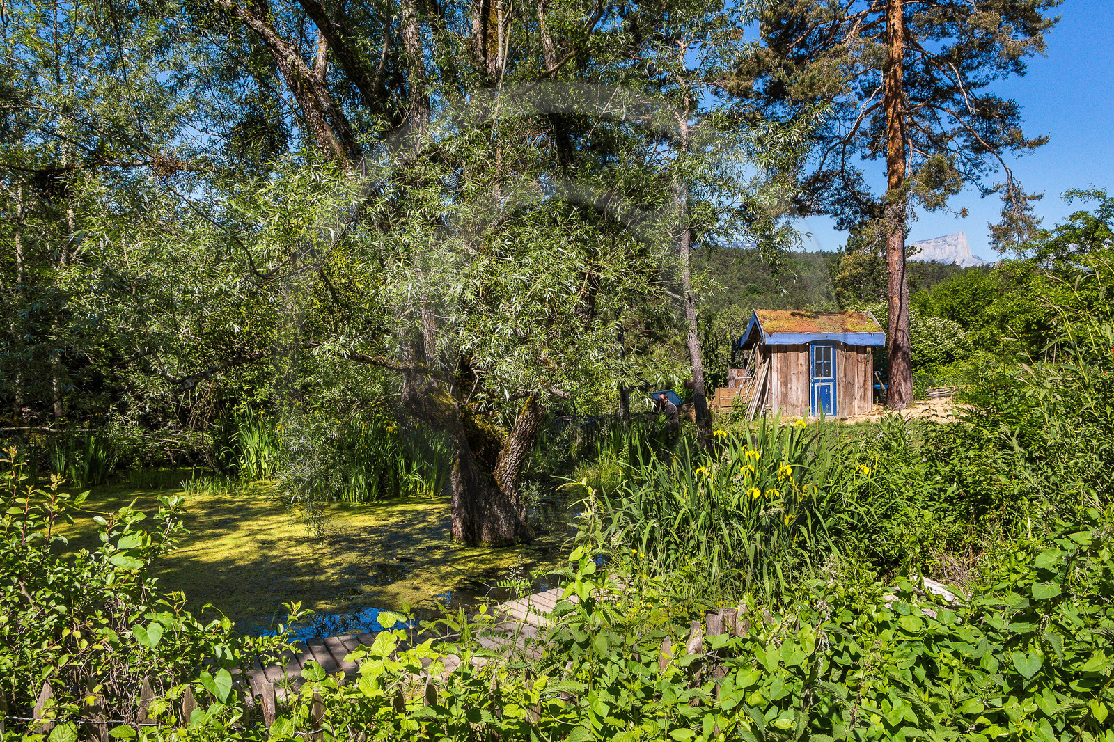 Parc écologique Terre Vivante, stage photo macro nature